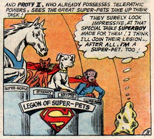 The Super-Pets table at the Legion Clubhouse