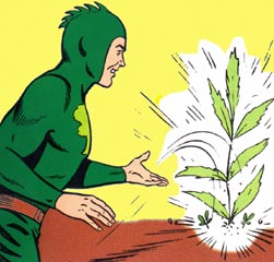 Chlorophyll Kid animation coming soon!